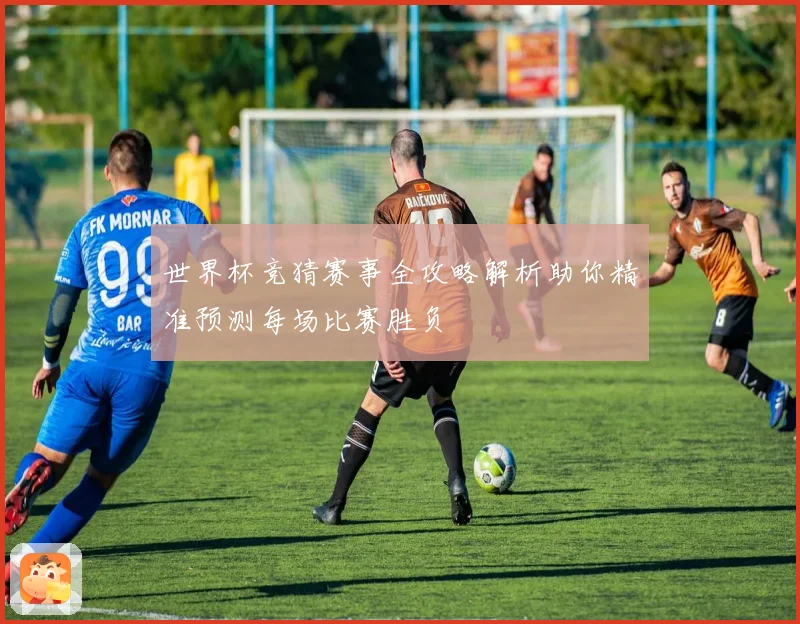 世界杯竞猜赛事全攻略解析助你精准预测每场比赛胜负